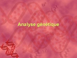 Analyse gntique Collge LionelGroulx Plan de la prsentation