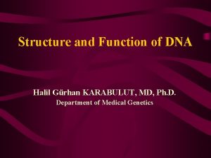 Structure and Function of DNA Halil Grhan KARABULUT