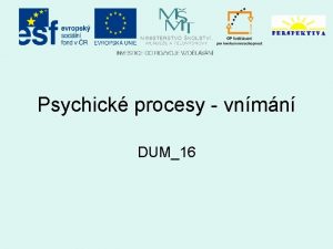 Psychick procesy vnmn DUM16 Nzev koly Stedn kola