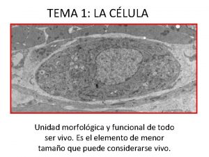 TEMA 1 LA CLULA Unidad morfolgica y funcional