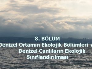 8 BLM Denizel Ortamn Ekolojik Blmleri v Denizel