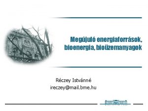 Megjul energiaforrsok bioenergia biozemanyagok Rczey Istvnn ireczeymail bme