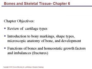Bones and Skeletal Tissue Chapter 6 Chapter Objectives