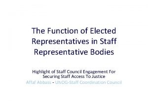 The Function of Elected Representatives in Staff Representative