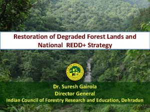 Restoration of Degraded Forest Lands and National REDD
