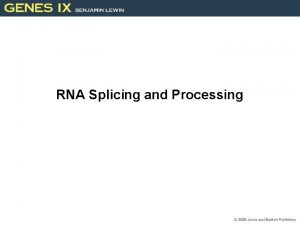 RNA Splicing and Processing Introduction Typical mammalian gene