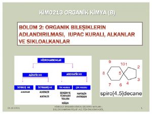 KM 0213 ORGANK KMYA B 26 10 2021