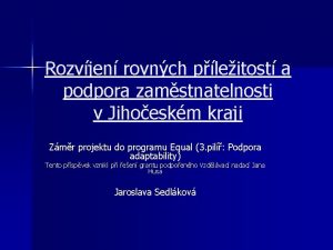 Rozvjen rovnch pleitost a podpora zamstnatelnosti v Jihoeskm