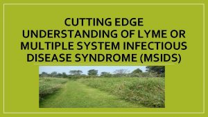 CUTTING EDGE UNDERSTANDING OF LYME OR MULTIPLE SYSTEM