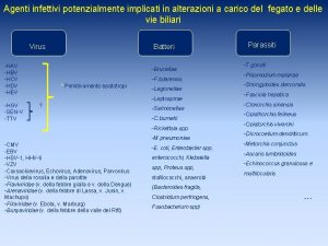 Agenti infettivi potenzialmente implicati in alterazioni a carico