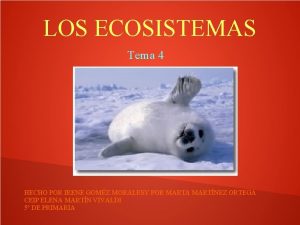 LOS ECOSISTEMAS Tema 4 HECHO POR IRENE GOMZ