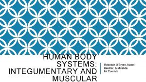 HUMAN BODY SYSTEMS INTEGUMENTARY AND MUSCULAR Rebekah OBryan