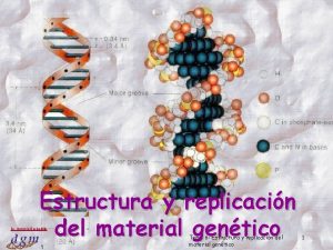 Estructura y replicacin del material gentico Dr Antonio