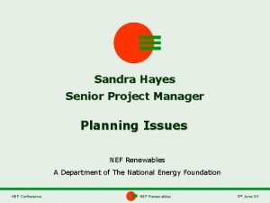 Sandra Hayes Senior Project Manager Planning Issues NEF