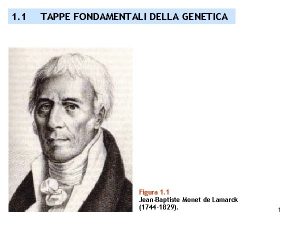 1 1 TAPPE FONDAMENTALI DELLA GENETICA Figura 1