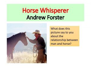 Horse Whisperer Andrew Forster What does this picture