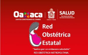 RED OBSTETRICA METROPOLITANA ANTECEDENTES RMM 2015 en pases