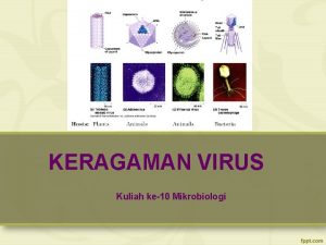 KERAGAMAN VIRUS Kuliah ke10 Mikrobiologi MICROORGANISMS PROKARYOTES BACTERIA