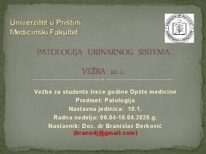 Univerzitet u Pritini Medicinski Fakultet PATOLOGIJA URINARNOG SISTEMA