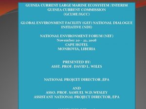 GUINEA CURRENT LARGE MARINE ECOSYSTEM INTERIM GUINEA CURRENT