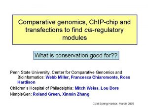 Comparative genomics Ch IPchip and transfections to find