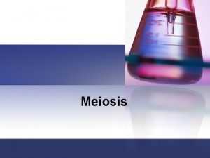 Meiosis II What is meiosis Meiosis is a