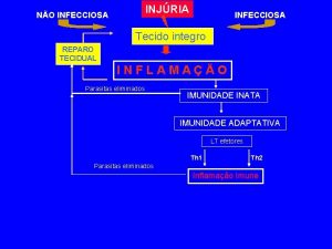 INJRIA NO INFECCIOSA Tecido integro REPARO TECIDUAL INFLAMAO