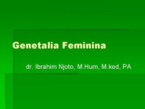 Genetalia Feminina dr Ibrahim Njoto M Hum M