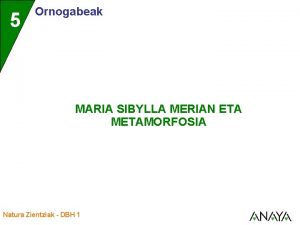 5 Ornogabeak MARIA SIBYLLA MERIAN ETA METAMORFOSIA Natura