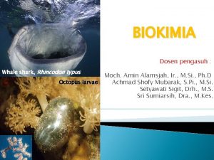 BIOKIMIA Dosen pengasuh Whale shark Rhincodon typus Octopus