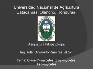 Universidad Nacional de Agricultura Catacamas Olancho Honduras Asignatura