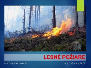 LESN POIARE DHZ Hradite pod Vrtnom ML 70