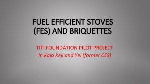 FUEL EFFICIENT STOVES FES AND BRIQUETTES TITI FOUNDATION