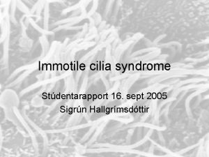 Immotile cilia syndrome Stdentarapport 16 sept 2005 Sigrn