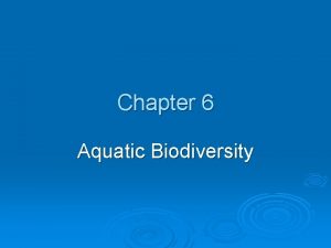 Chapter 6 Aquatic Biodiversity Chapter Overview Questions What