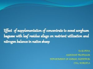 Effect of supplementation of concentrate to sweet sorghum