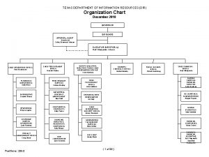 TEXAS DEPARTMENT OF INFORMATION RESOURCES DIR Organization Chart