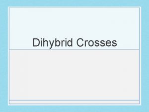 Dihybrid Crosses Dihybrid Crosses In monohybrid crosses we
