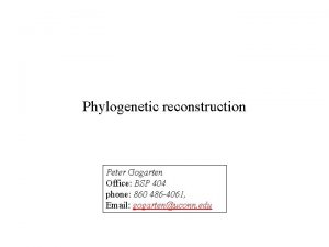 Phylogenetic reconstruction Peter Gogarten Office BSP 404 phone