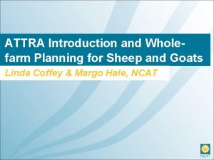 ATTRA Introduction and Wholefarm Planning for Sheep and