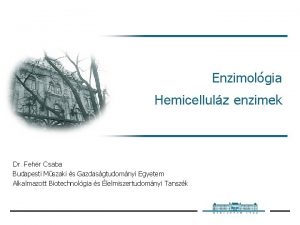 Enzimolgia Hemicellulz enzimek Dr Fehr Csaba Budapesti Mszaki