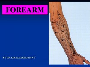 FOREARM BY DR SANAA ALSHAARAWY OBJECTIVES At the