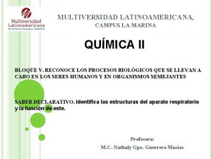 MULTIVERSIDAD LATINOAMERICANA CAMPUS LA MARINA QUMICA II BLOQUE