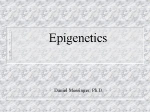 Epigenetics Daniel Messinger Ph D Messinger Hmmm n