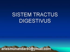 SISTEM TRACTUS DIGESTIVUS ariesmunandar 80ymail com PENGERTIAN Sistem