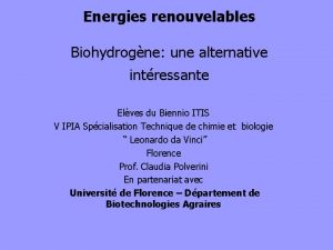 Energies renouvelables Biohydrogne une alternative intressante Elves du