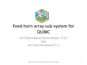 Feed horn array subsystem for QUBIC For Technological