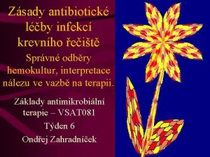 Zsady antibiotick lby infekc krevnho eit Sprvn odbry