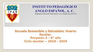 INSTITUTO PEDAGGICO ANGLO ESPAOL A C PREPARATORIA INCORPORADA