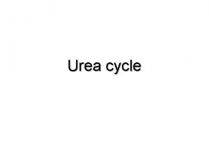 Urea cycle Amino acid oxidation and the production